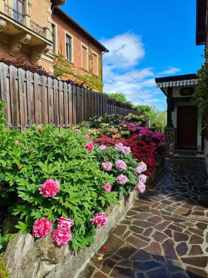 Ferienwohnung Am Heidelberg Blankenburg  Dış mekan fotoğraf